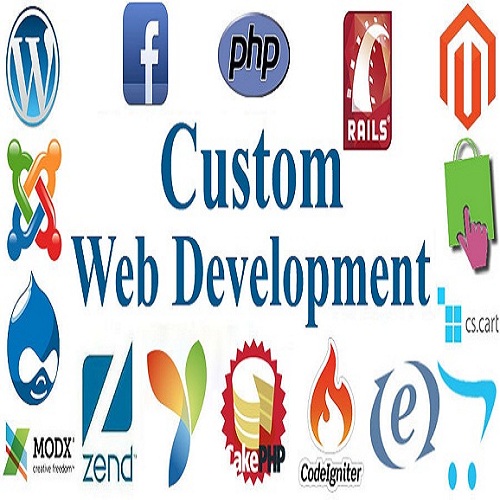 Customized Web Development