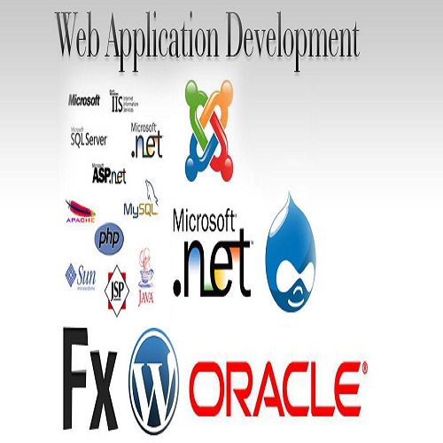Customized WebApp Development